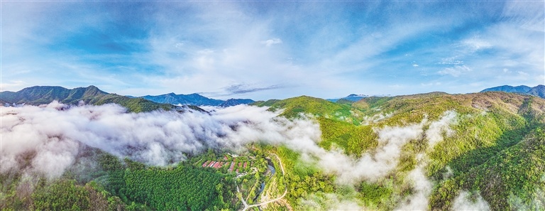 生态与发展的平衡 海南热带雨林国家公园文旅项目规划解析